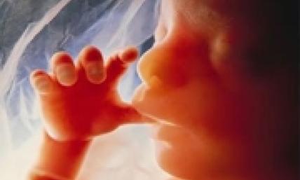 WATCH: New CBS Medical Drama 'Code Black' Celebrates Life in the Womb