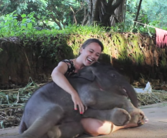 How Cute! This Baby Elephant Loves to Cuddle