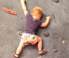 Amazing! Toddler Climbs Rock Wall!