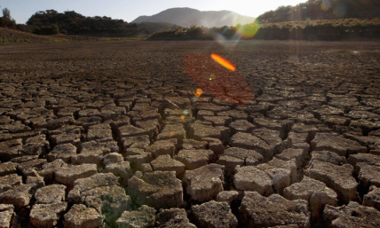 Choosing Wisely or Foolishly at Global Climate Conference