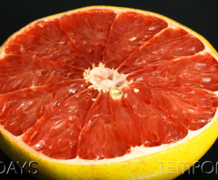 See What Happens When Grapefruit Is Left to Rot for 72 Days