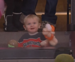 Little Boy Steals the Show at a Hockey Game