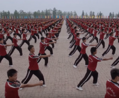 How Do 36,000 Kids Practicing Kung Fu In Sync Look?