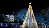 Jesus' Values Are in All Faiths, Obama Says at Christmas Tree Lighting Ceremony