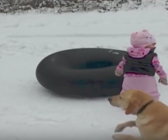 What This Dog Does in the Snow Shocks Everyone!