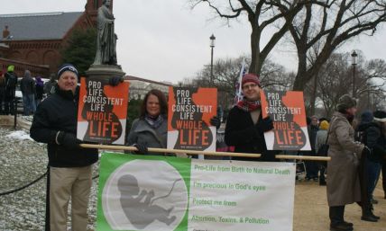 Pollution and the Death of Babies: How 'Green' Evangelicals Imperil the Pro-Life Movement