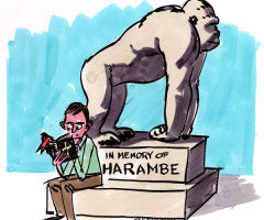 What Makes Us Grieve for a Gorilla?