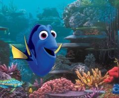 Finding Dory: A Disney Movie With a Hidden Pro-Life Message