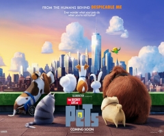 3 Overlooked Lessons From 'The Secret Life of Pets'