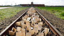 Pope Francis to Visit Auschwitz Ahead of Catholic World Youth Day in Krakow