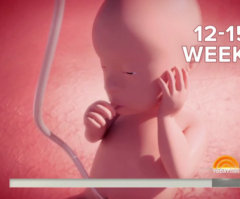 WATCH: Amazing Life of Pre-Born Humans Featured on NBC's 'Today Show'