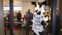 Would You Eat a Grain Bowl at Chick-fil-A? Restaurant Experiments With Menu
