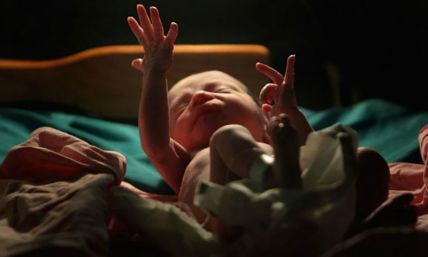 Humanity of Abortion Victims Shown in 'His Only Picture' Baby Photos Campaign