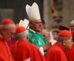 Conservative Vatican Cardinal Strikes Back at Pope Francis for 'Unacceptable' Treatment After Firing