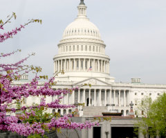Debbie Wasserman Schultz's IT Staffer Imran Awan Investigation: 5 Updates You Should Know