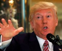 California Wants to 'Force Us to Violate Our Faith,' Says Little Sisters of the Poor