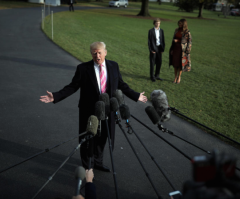 11 Striking Stories from 2017