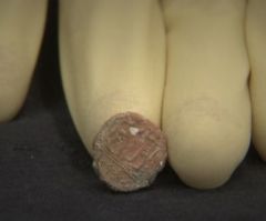 2,700-Y-O 'Governor of Jerusalem' Seal Discovery Backs Biblical Accounts in 2 Kings, 2 Chronicles