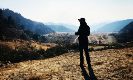 The Dominion and Stewardship of Humanity Over God's Creation