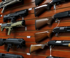 NRA President: Second Amendment 'Granted by God to all Americans' as a 'Birthright'