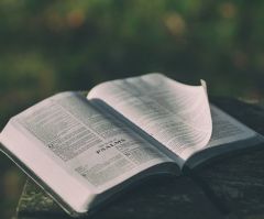 The Power of Sharing God's Word