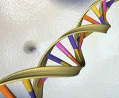 Creationist Scientist Feels 'Ambivalent' About New Study Saying Most Life Forms Not Millions of Years Old