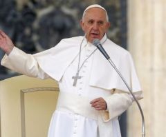 Pope: There Is Only One Type of Family, Man-Woman Marriage