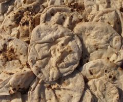Archaeologists Say Newly Discovered Crumbs Are Earliest Evidence of Bread