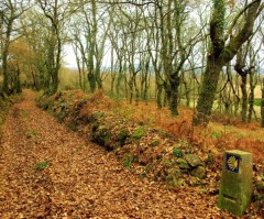 Fake Signs Along Camino de Santiago Pilgrimage Paths Are Leading Christians to Bars