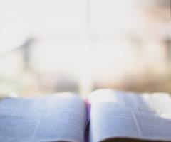How Not to Read the Bible: God's Story vs. Moral McNuggets