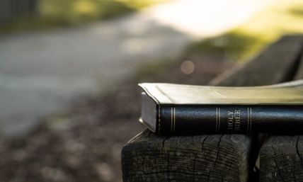 The One Book You Have to Read