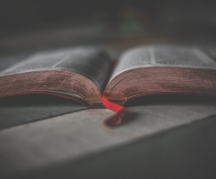 Why do we believe the Bible is actually the word of God?