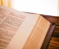What we can learn from the 'underdogs' of the Bible