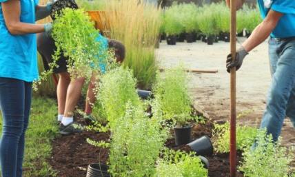  How to find ministry roles that fit your personality