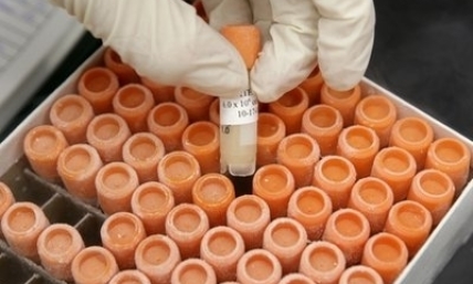 President Trump, why are we still funding embryonic stem cell research? 