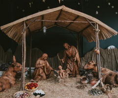 The nativity is a beautiful argument for life
