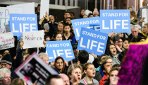 42.4M babies killed by abortion in 2019; here's what's ahead for US abortion laws in 2020