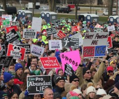 An impressive decade for the pro-life movement