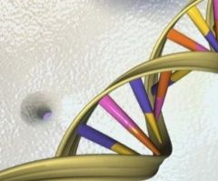 More evidence of the dangers of CRISPR: Stop playing God with human genes