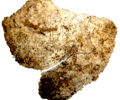 1,400-y-o Christian cup uncovered in Britain 'important' to understanding early Christian church