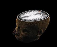 Study of God in the brain points to a common thread among people of faith, neuroscientist says