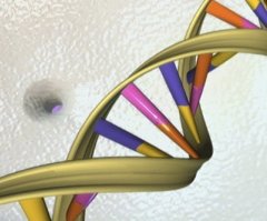 Inventors of CRISPR win Nobel Prize, but should we 'rewrite the code of life?'