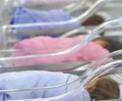 What does the rapidly declining birthrate mean for churches?