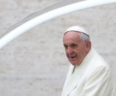 Pope Francis launches 7-year action plan to foster ‘green' spirituality, economics, education
