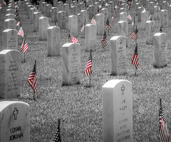 Memorial Day: Home of the brave