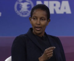 Ayaan Hirsi Ali says critical race theory is 'worst philosophy,' teaches kids to 'hate' each other