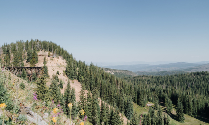 Postcard from Colorado’s Grand County