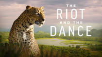 Kanye, Kirk Cameron lending support to faith-based crowdfunding nature series 'The Riot and the Dance'