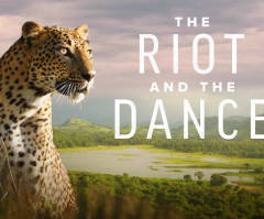 Kanye, Kirk Cameron lending support to faith-based crowdfunding nature series 'The Riot and the Dance'