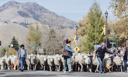 3 places to go this fall